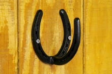 Made from real horseshoes. Can hold bridles, halters, ropes, lunge lines, and more. Mounts to any flat surface. Durable black powder coat finish. 

4in. tall

 
4in. wide 


Weight is 1lb.